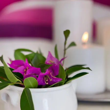 酒店 佩里奥拉斯酒店 5*